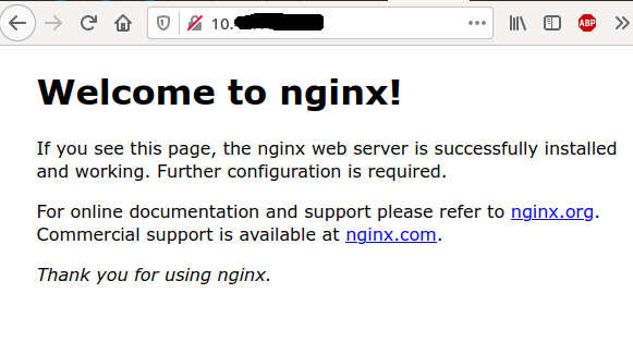 binami-nginx