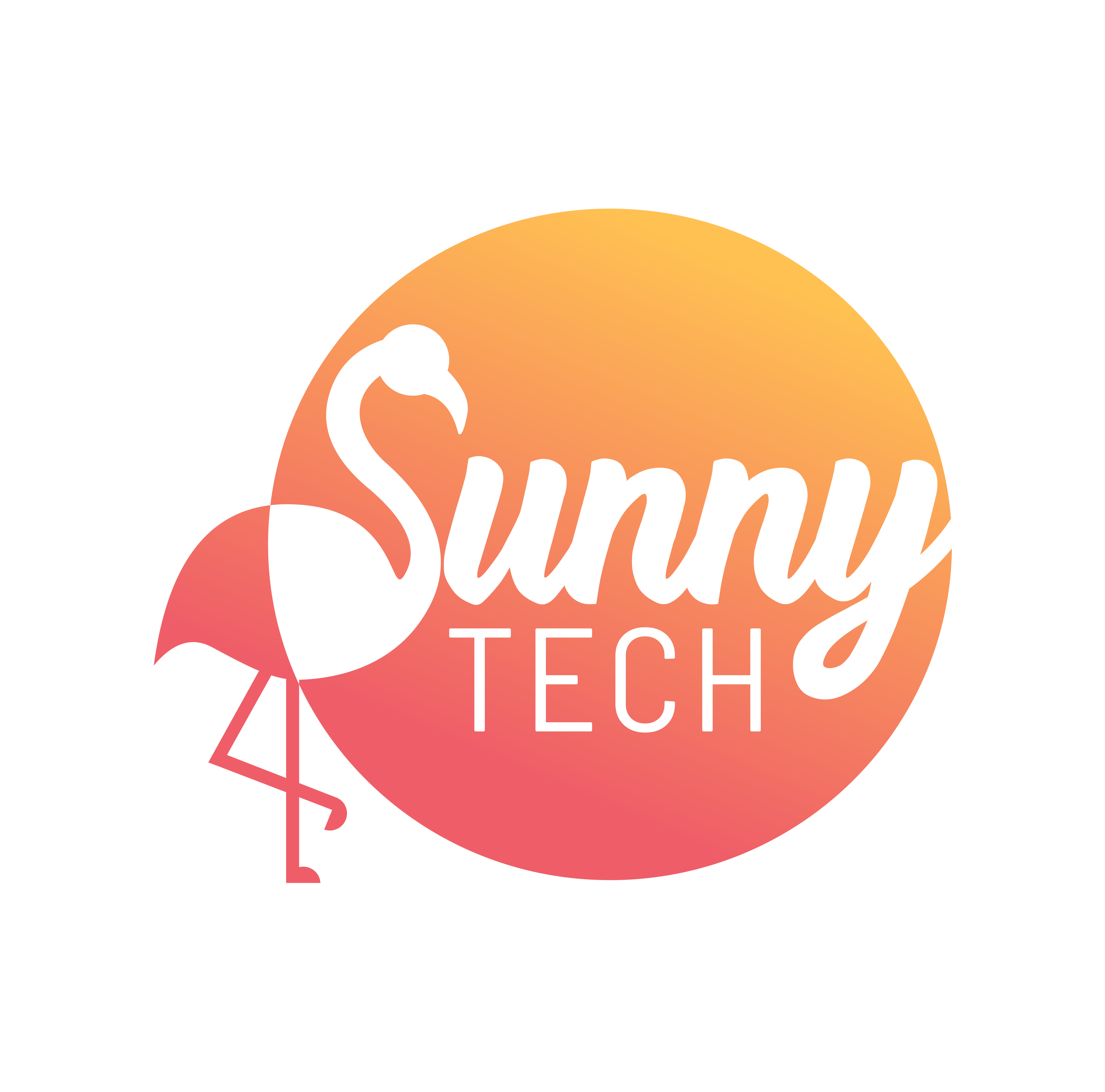 🎤 Talks donnés à SunnyTech 🎤